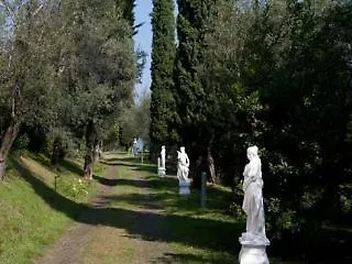 Cappellina